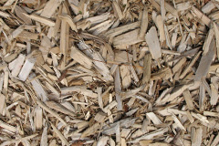 biomass boilers Torwood