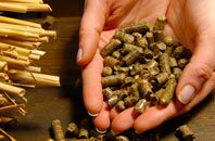 Torwood pellet boiler